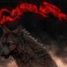 Darkwolf12