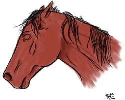 Horse Sketch 8-31-19.jpg