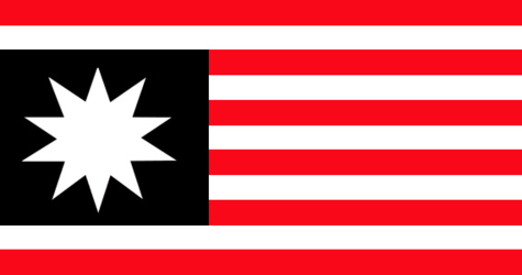 Flag_of_United_Americas.png