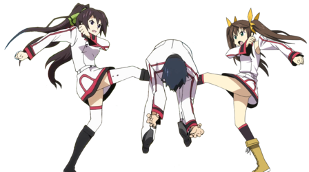 houki_kick.png