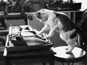 cat-on-typewriter.jpg