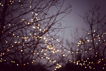 Dreamy-Winter-Lights-daydreaming-39054632-500-334.jpg