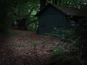 Cabin in woods.jpg