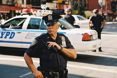 nypd175.jpg