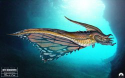 Aquatic - Butterfly Fish.jpg