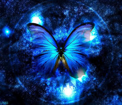 Insect - Galaxy Butterfly.jpg
