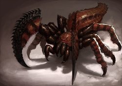 Insect - Spiderpede.jpg