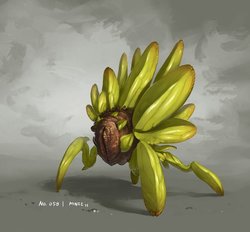 Plant - Seed Beetle.jpg