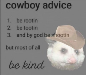 cowboy advice.png