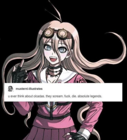 Untitled.png