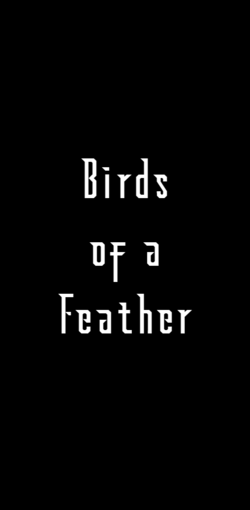 Birds.png