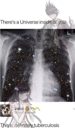 Untitled.png