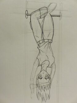 hanging.jpg
