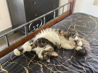 IMG_3107.jpeg