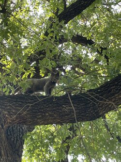 IMG_3029.jpeg