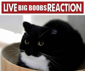 Live big boobs reaction.gif