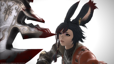 ffxiv_06012020_023402_613.png