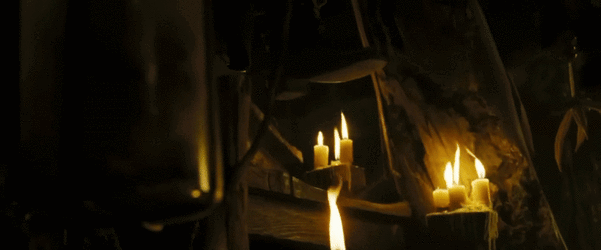 IMG_3920.gif