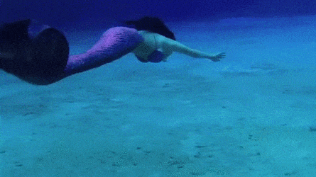 Cute Mermaid Gif.gif