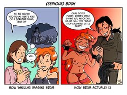 bdsm_bdsm_comic_fun_4768210-02581819725800406190.jpg