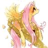 fluttercord